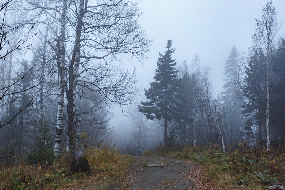 Photograph by Денис Базаров