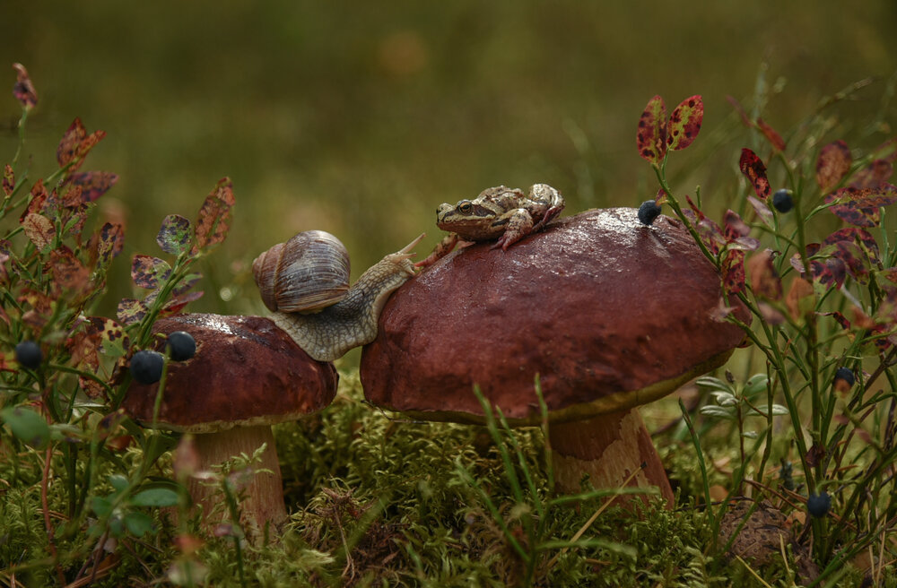 Photograph by Валерия Заноска