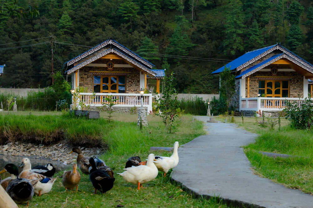 Duck March