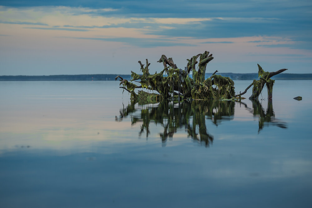 Photograph by Денис Базаров