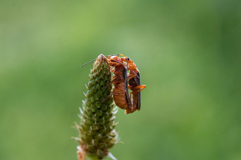 Photograph by Шпирко Михаил