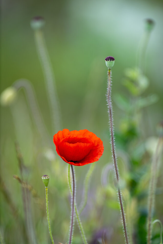 Photograph by Андрей Котенко
