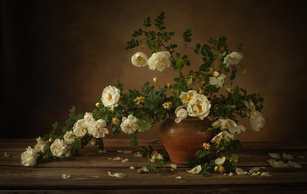 Photograph by Хвойнова Елена