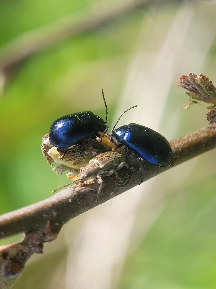 Photograph by Алексей Горин