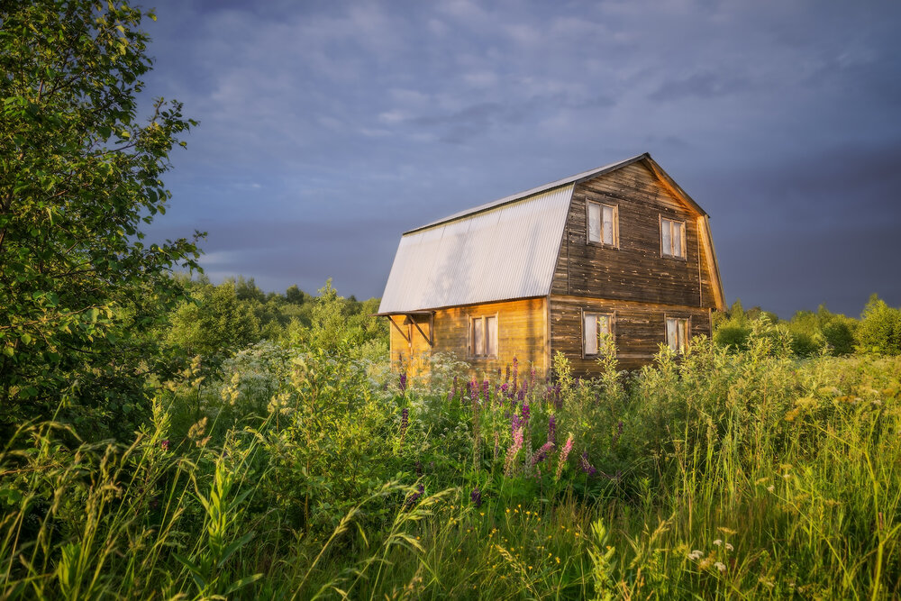 Photograph by Марина Ческис