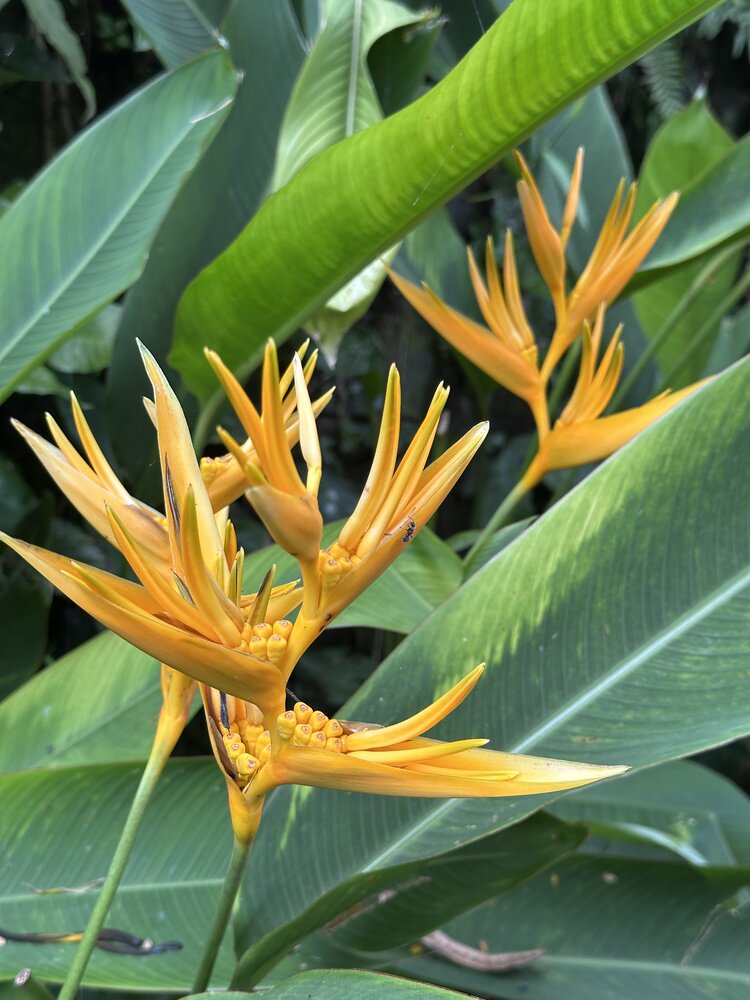 Photograph by Ольга Позняк
