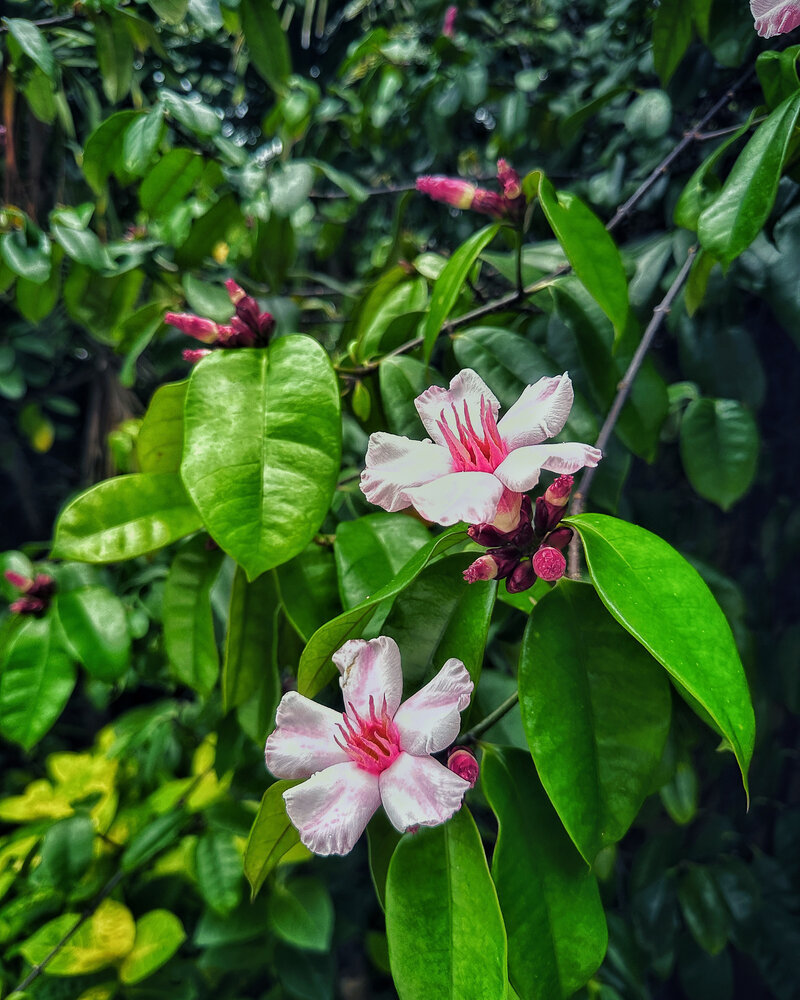 Photograph by Ольга Позняк