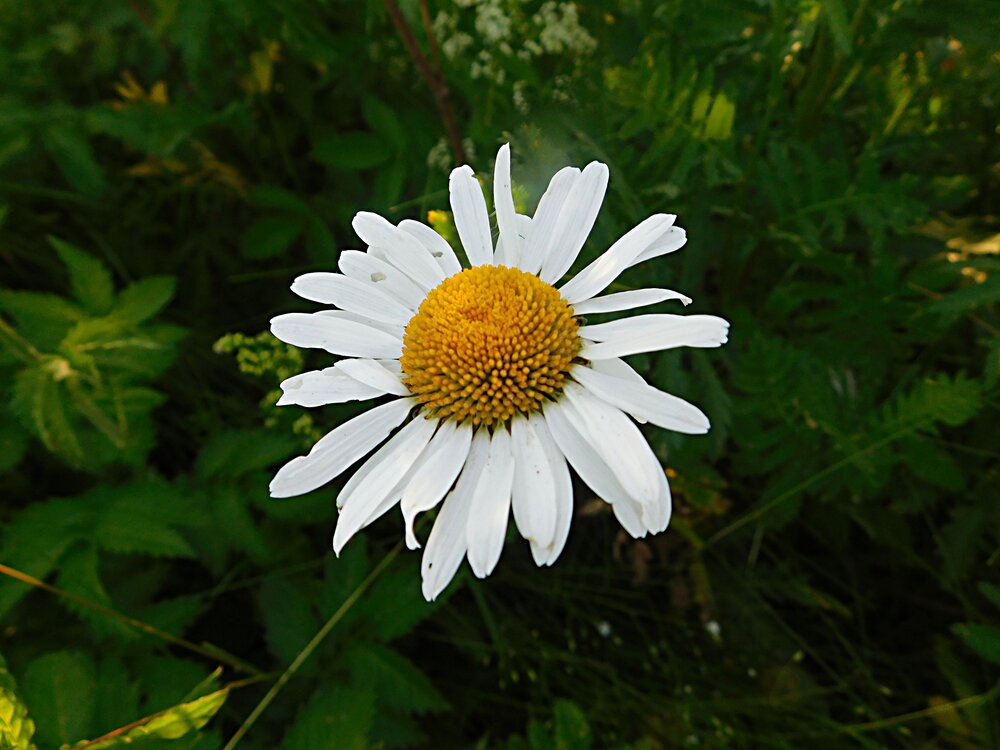 Photograph by Игорь Галеев