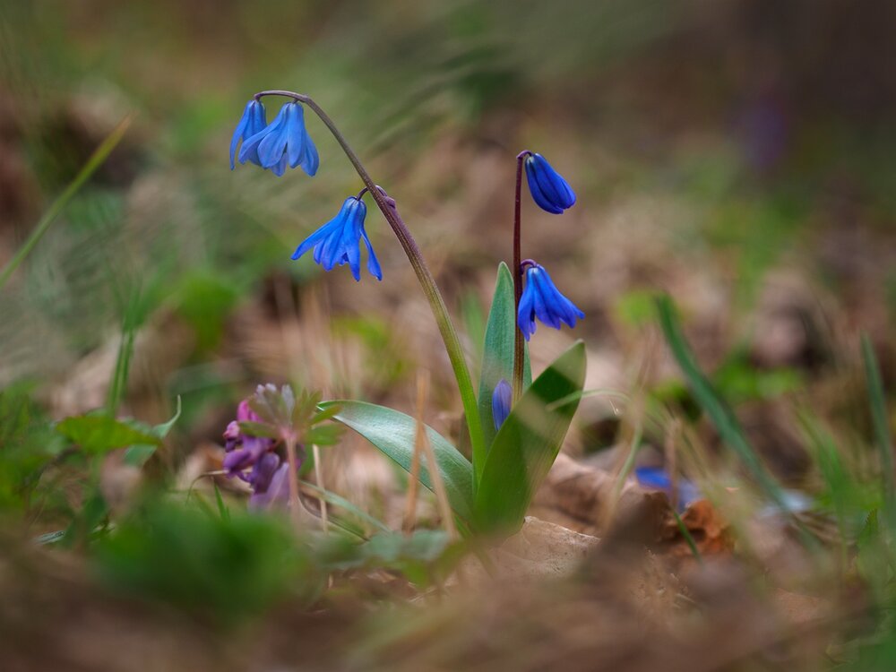 Photograph by Марина Брыдня