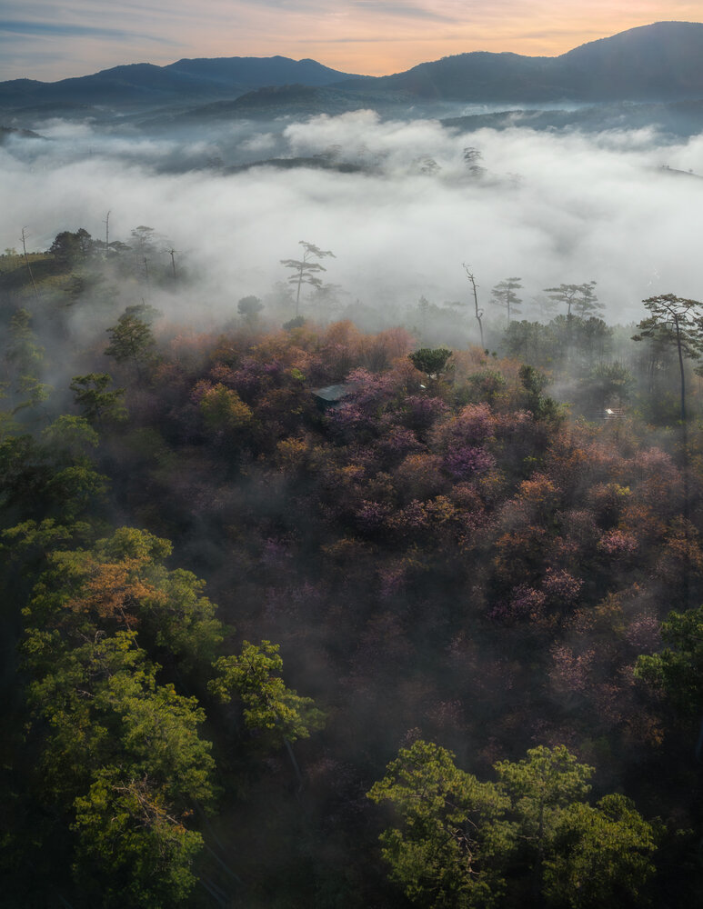 Photograph by Quoc Viet