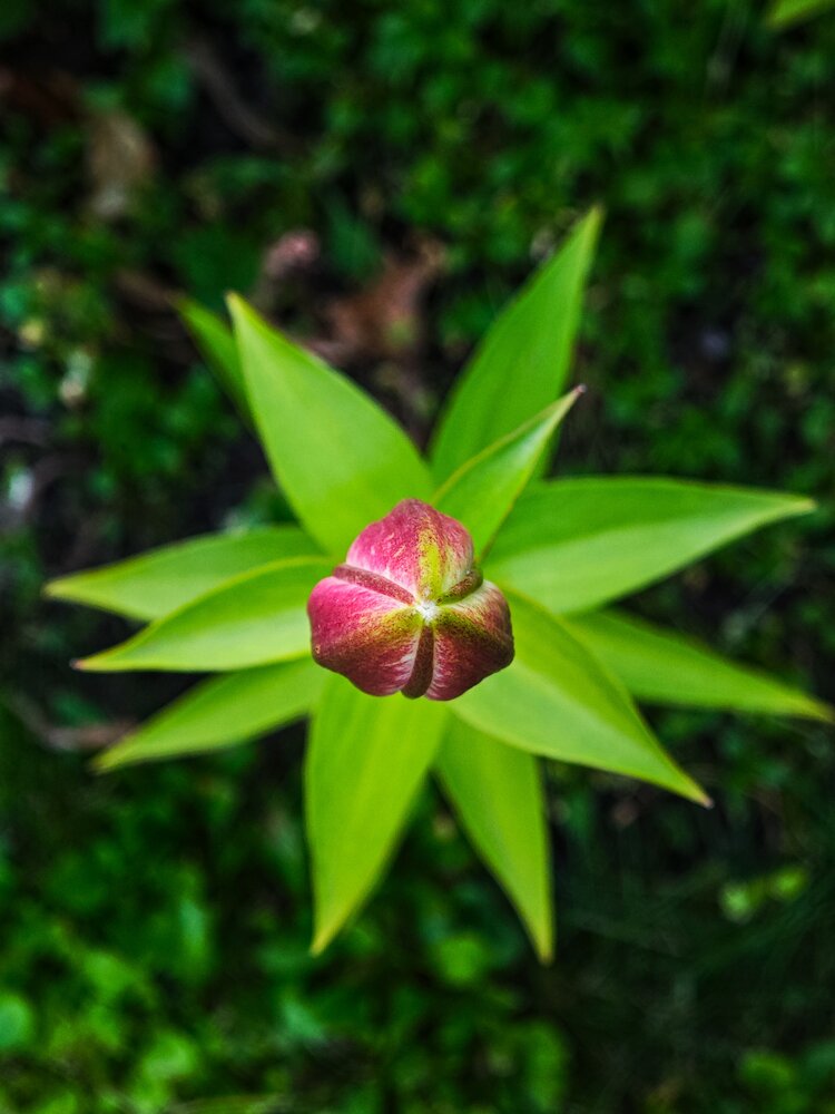 Photograph by Вячеслав Щёголев