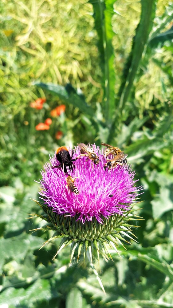 Photograph by Vadym Melnyk