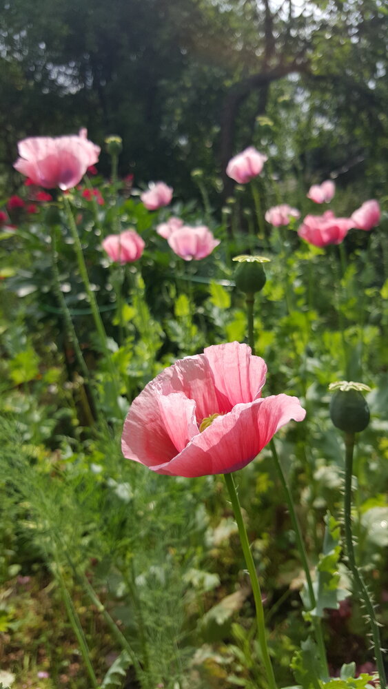 Photograph by Юлия Еганова
