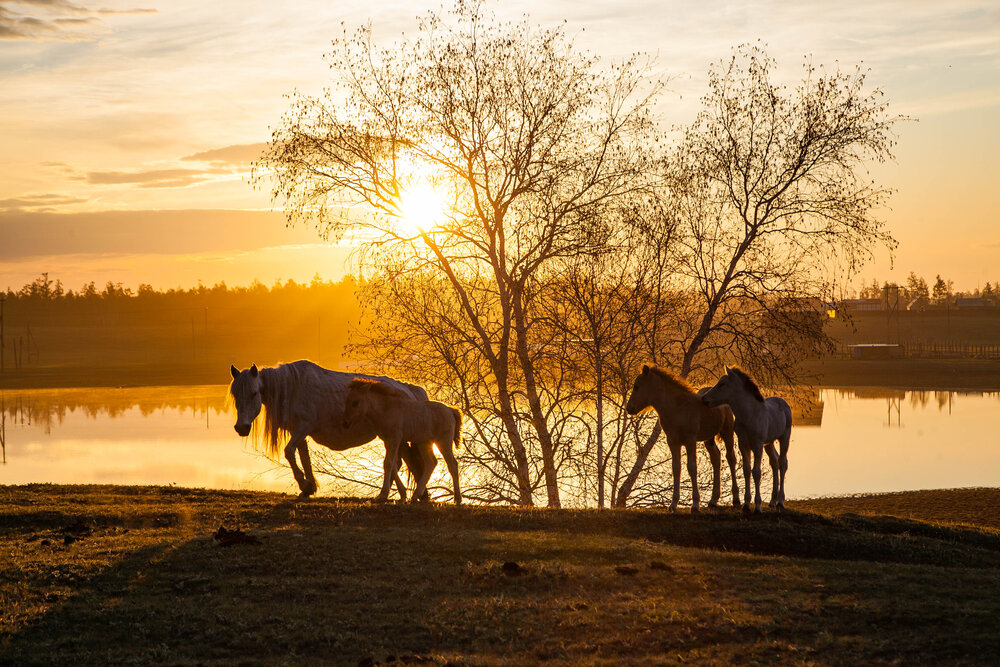 Photograph by Валерий Хоютанов