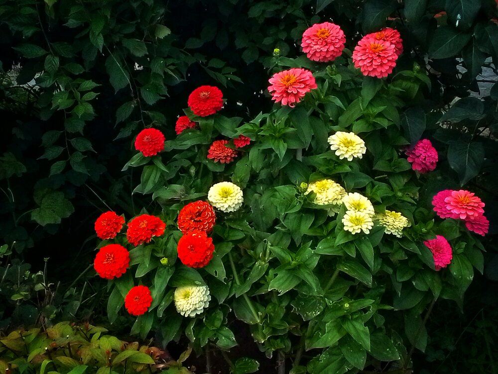Photograph by Юлия Громушкина