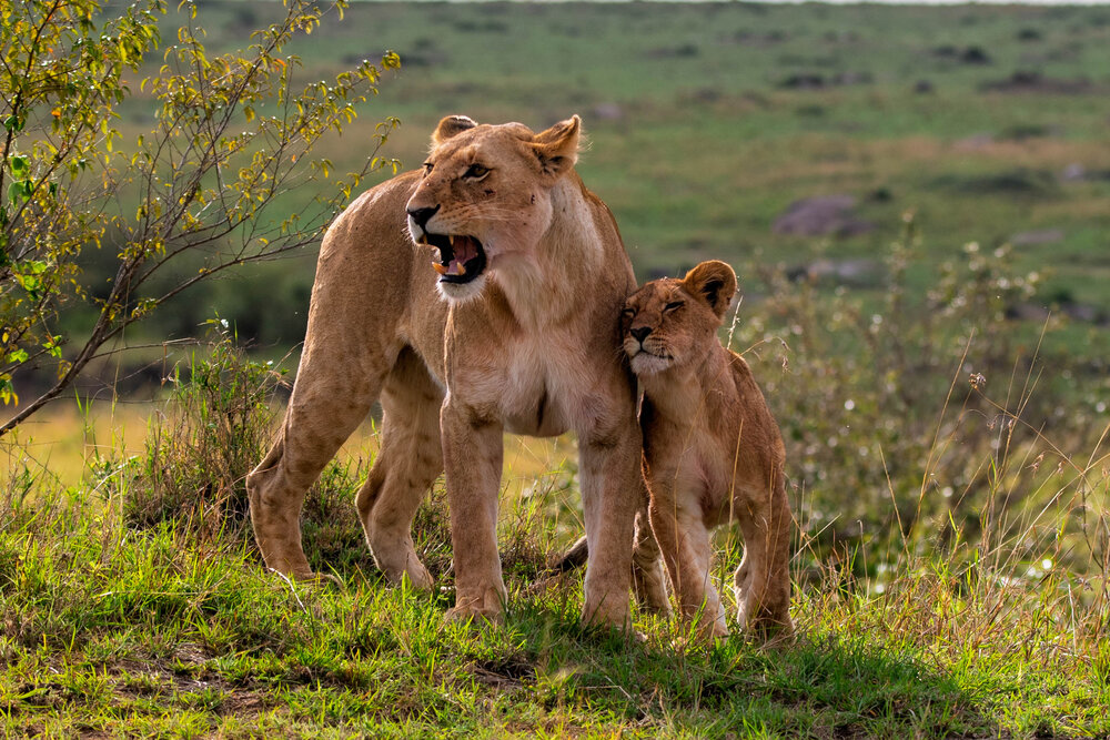 Photograph by Zubair Irshad