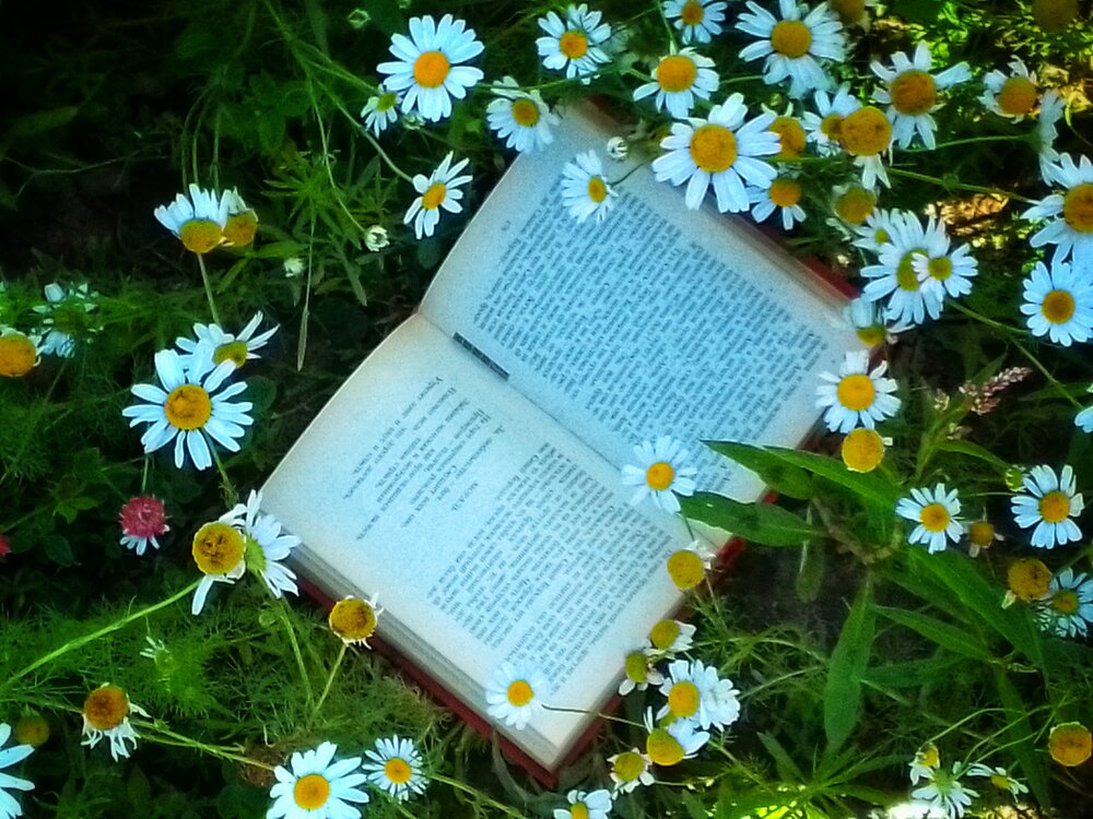 Photograph by Юлия Громушкина