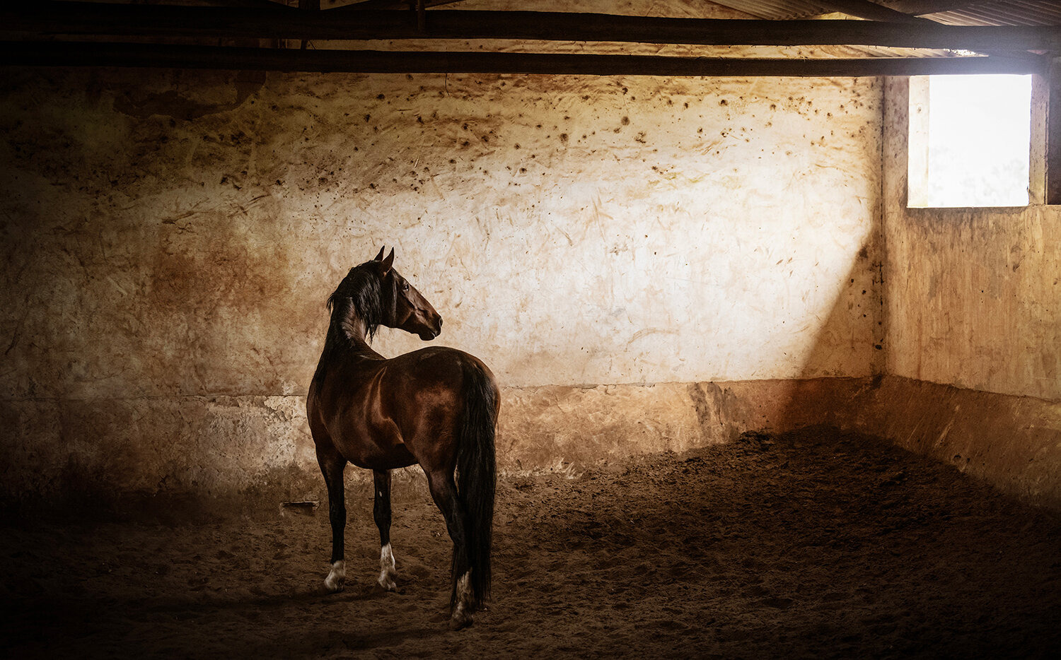 Photo #13894052