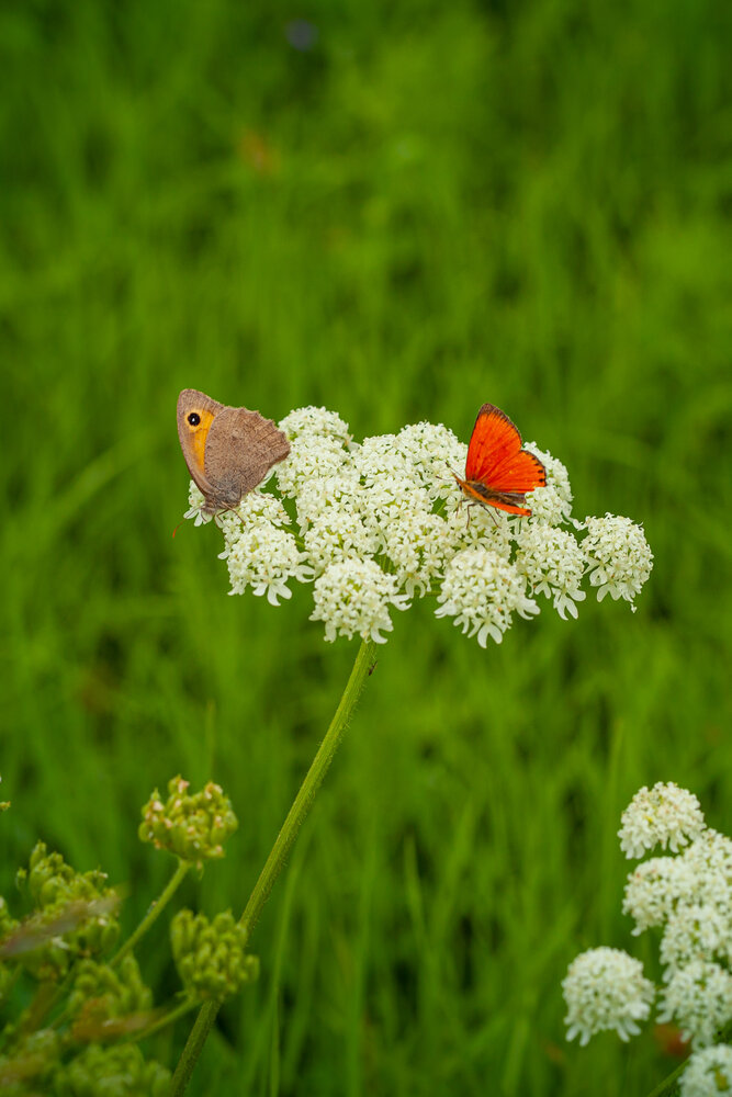 Photograph by Денис Дорошенко