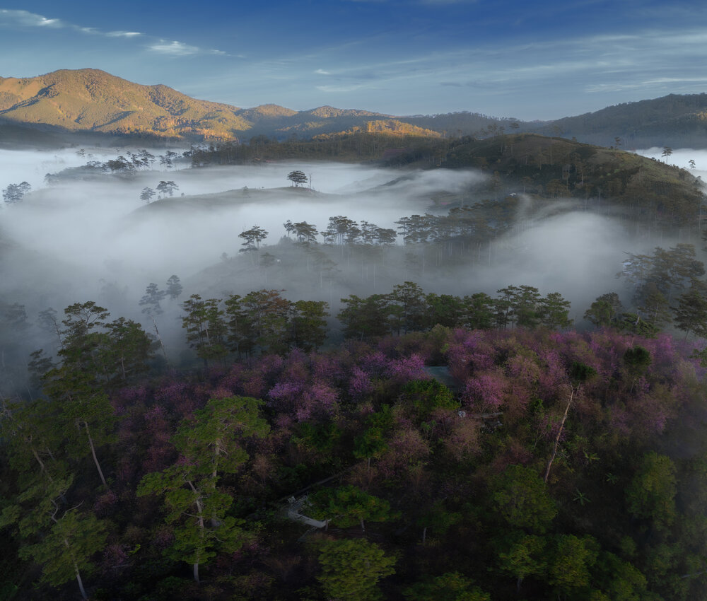 Photograph by Quoc Viet