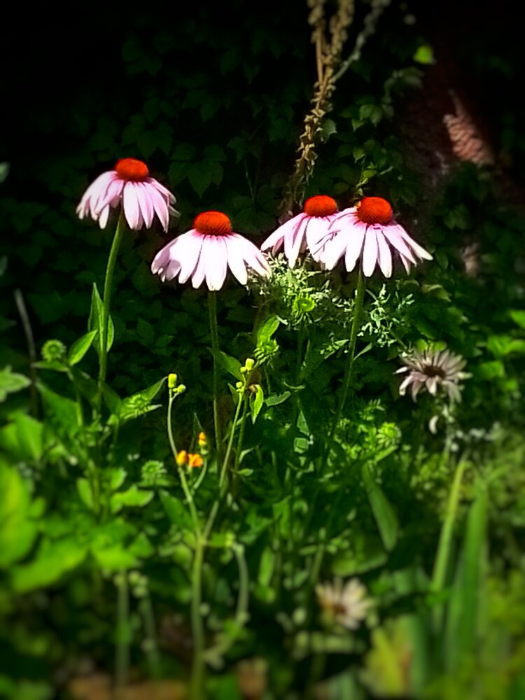 Photograph by Юлия Громушкина