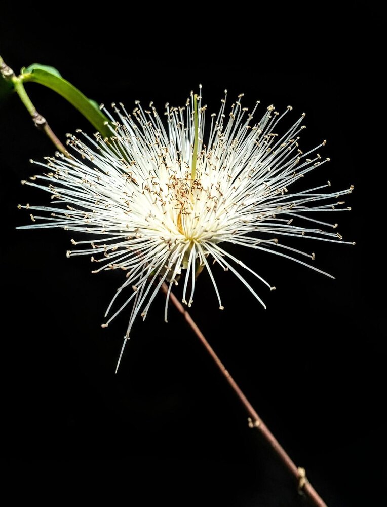 Photograph by Toàn Nguyễn Hữu