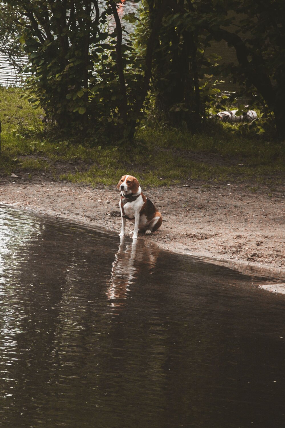 Photo #13894179