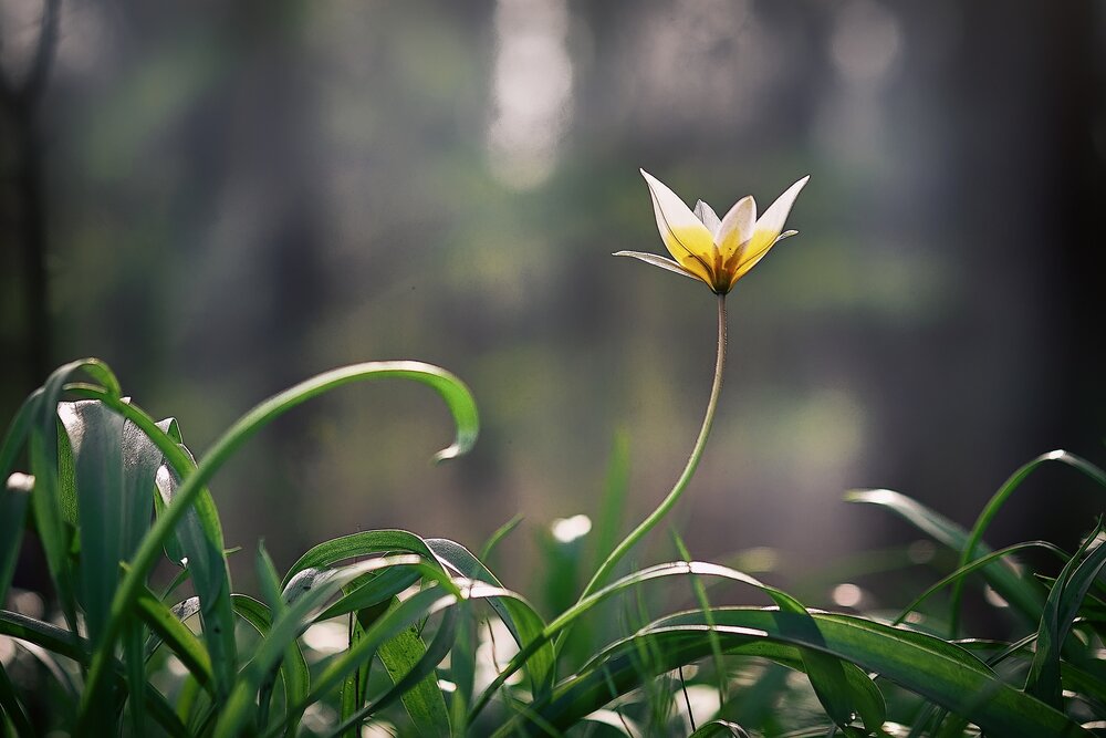 Photograph by Андрей Барышников
