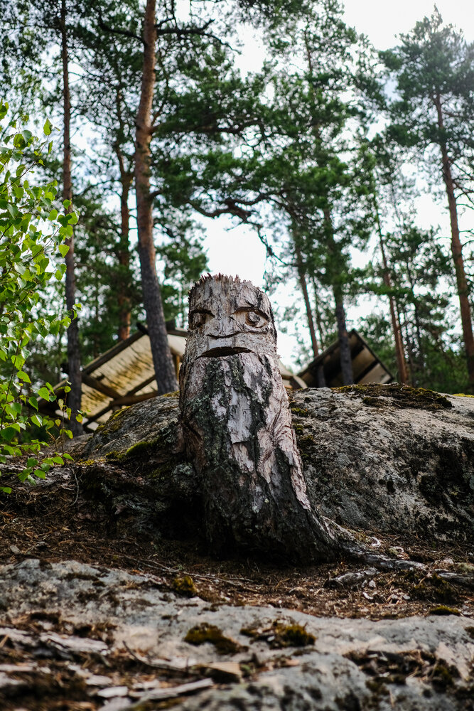 Photograph by Алексей Раимун
