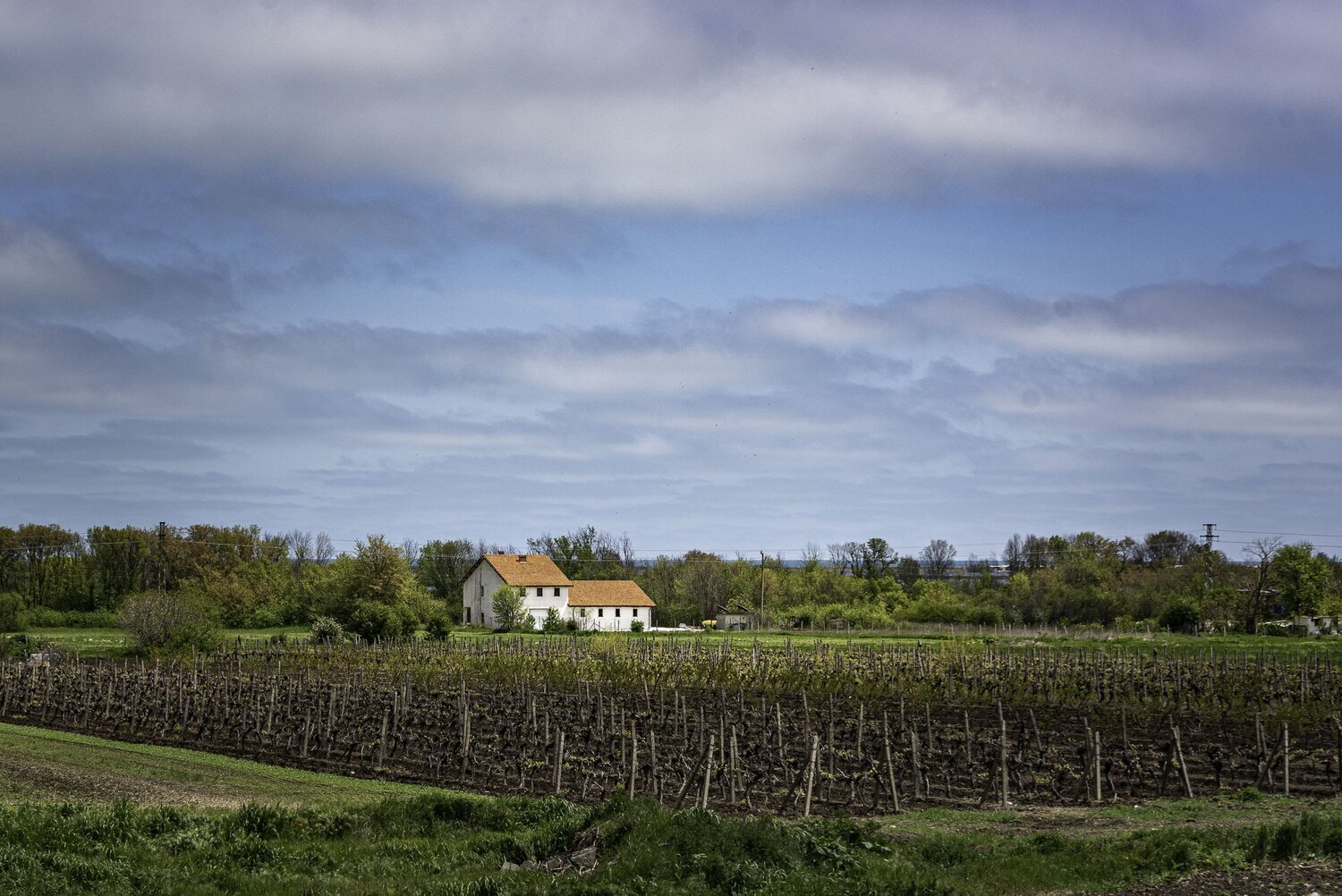 Photo #13894301