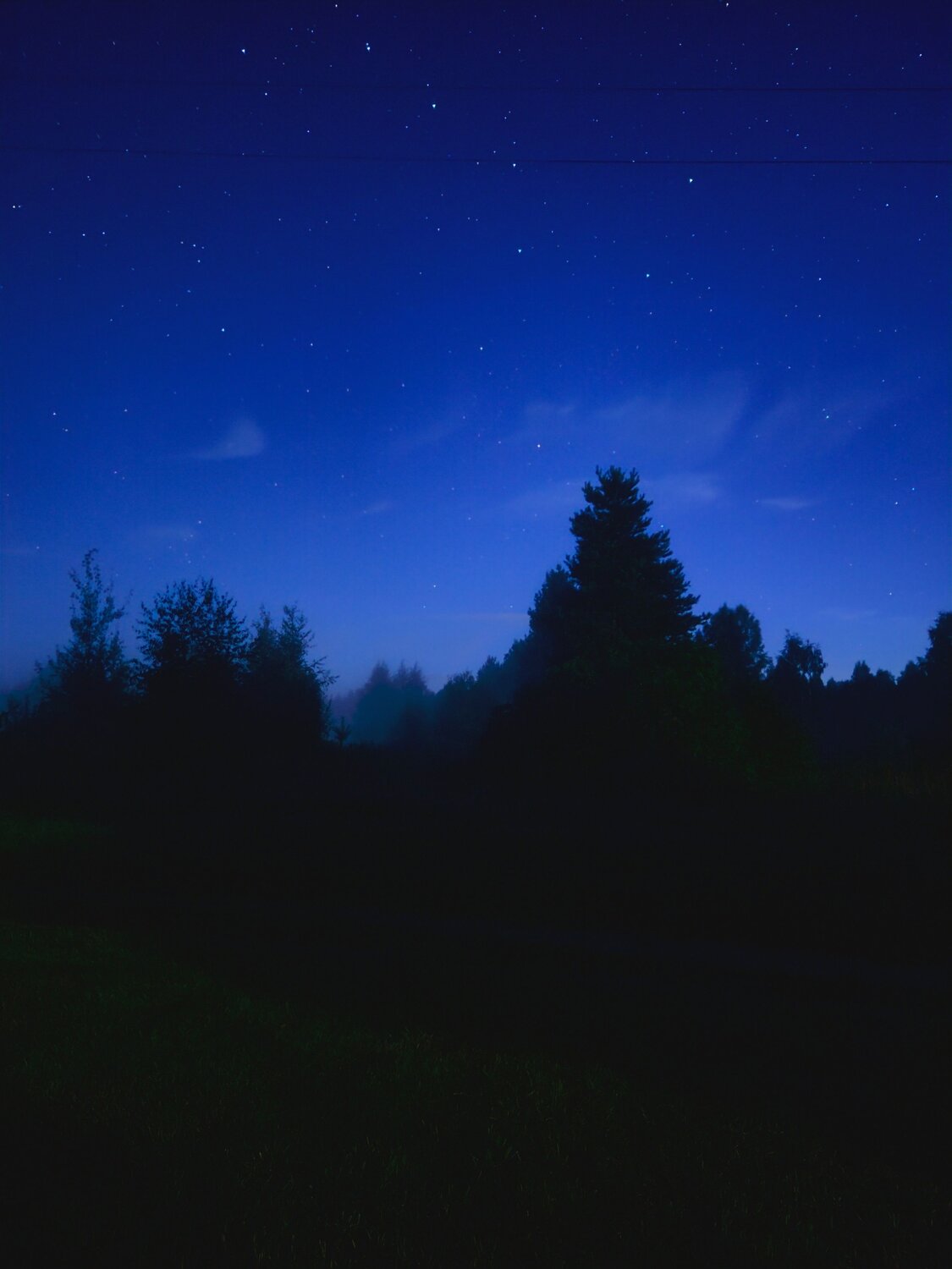 the night sky