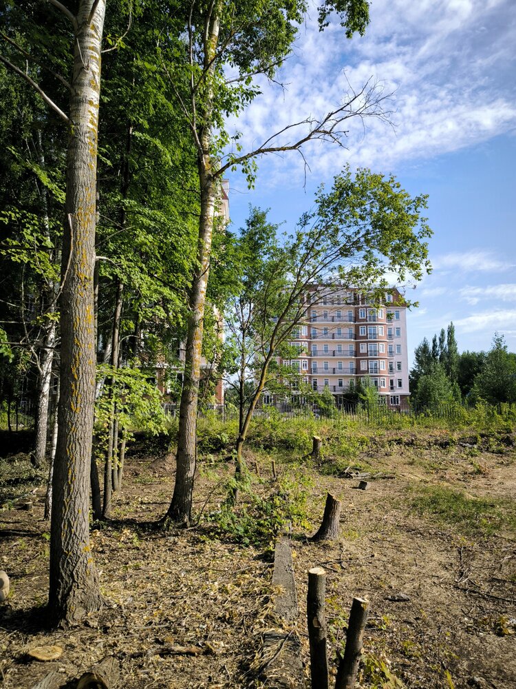 Photograph by Алексей Раимун