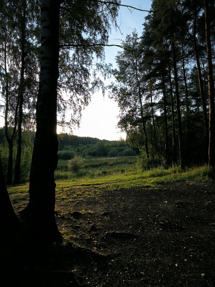 Photograph by Алексей Раимун