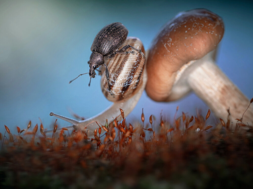 Photograph by Lapshina Vladlena