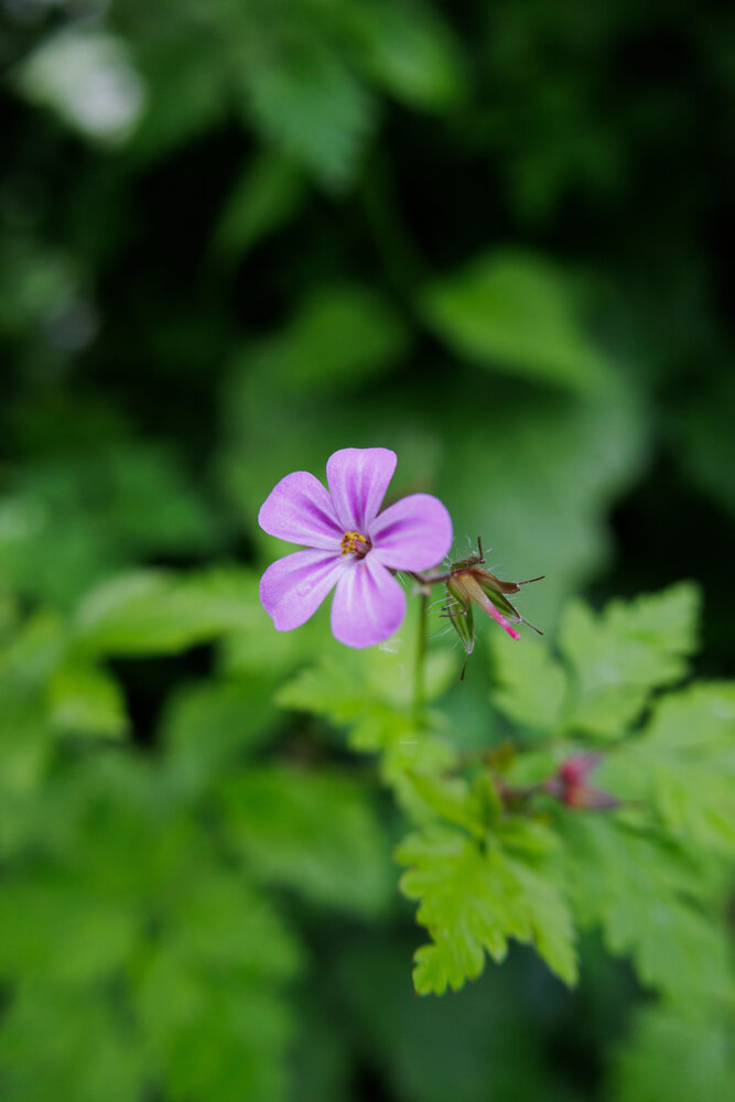 Photograph by Eduard Melnytskyi