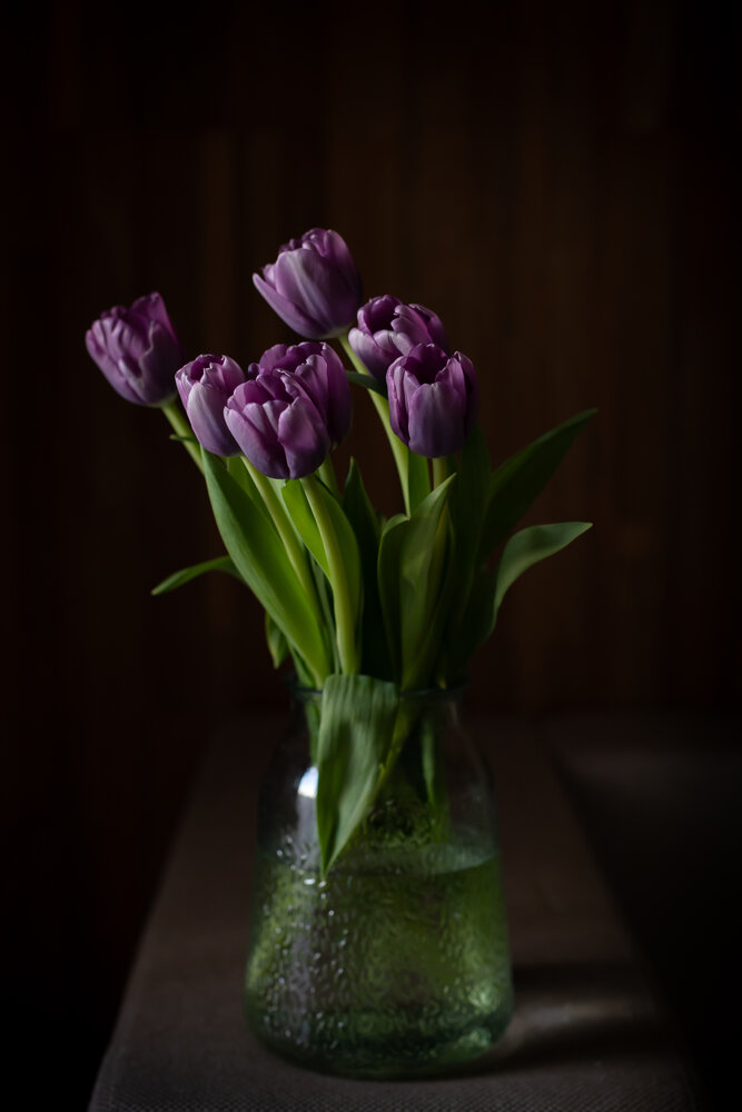 Photograph by Татьяна Гороховская