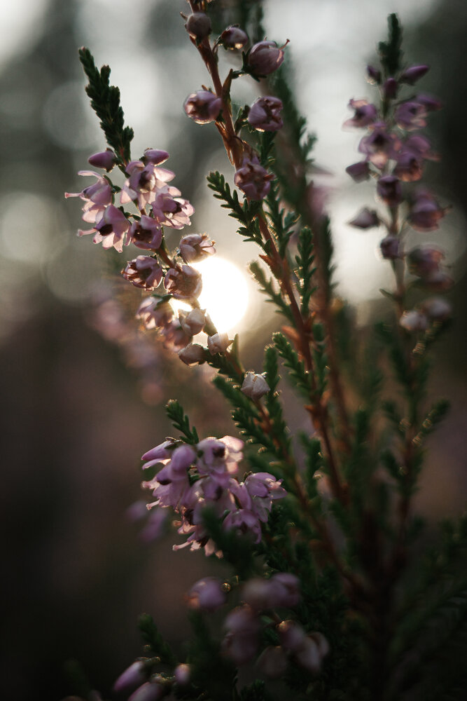 Photograph by Aleksandra Alekseeva