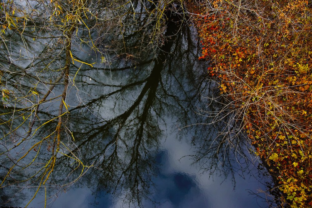Photograph by Дарья Боева