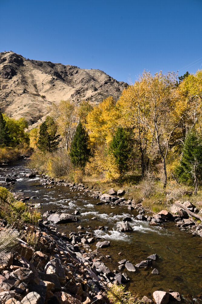 Autumn Tapestry in the Colorado Rockies