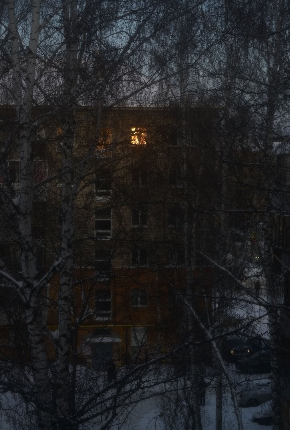 Photo #13894498