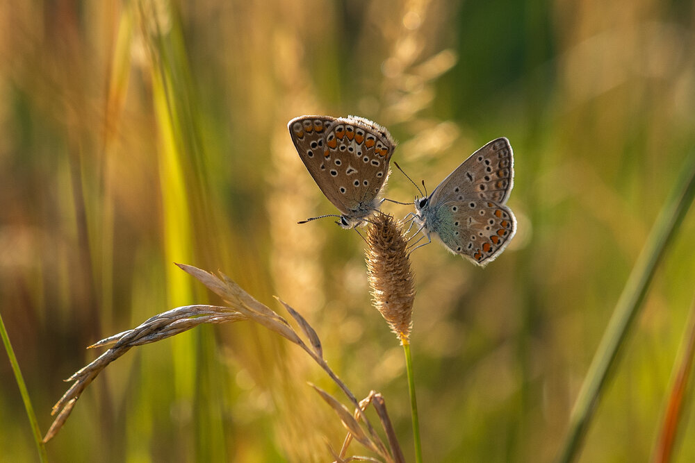 Photograph by Татьяна Эрбутаева