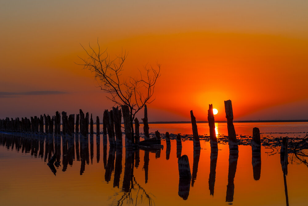 Photograph by Николай Дибров