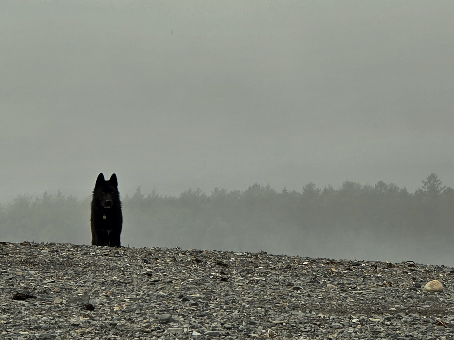 Photo #13894522