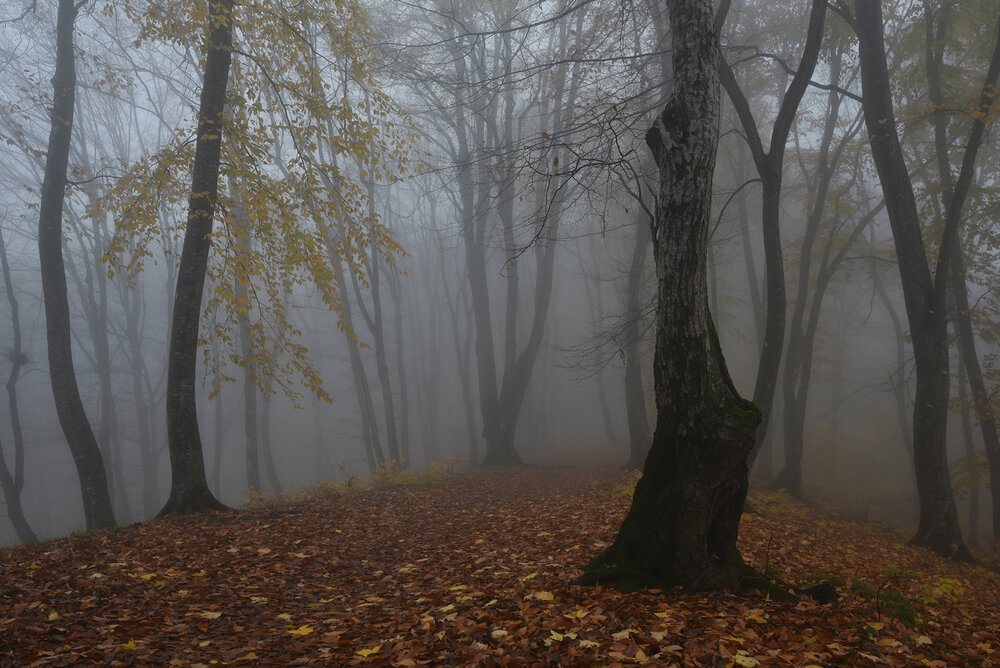 Photo #13894533