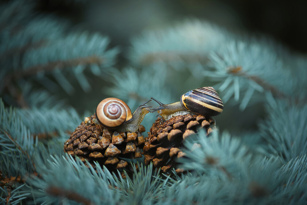 Photograph by Виктория Кос