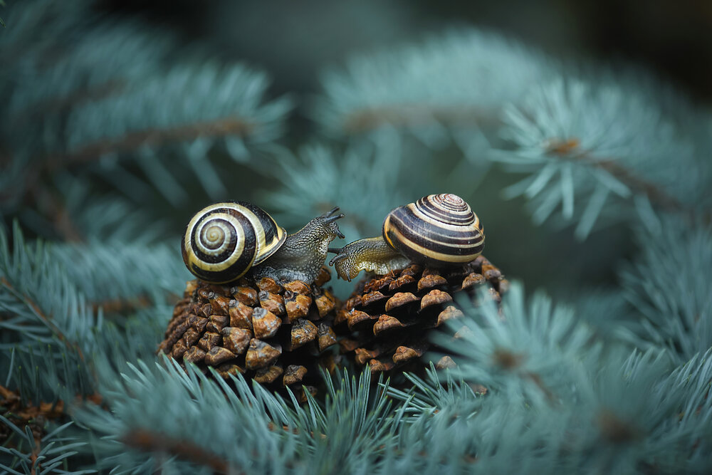 Photograph by Виктория Кос