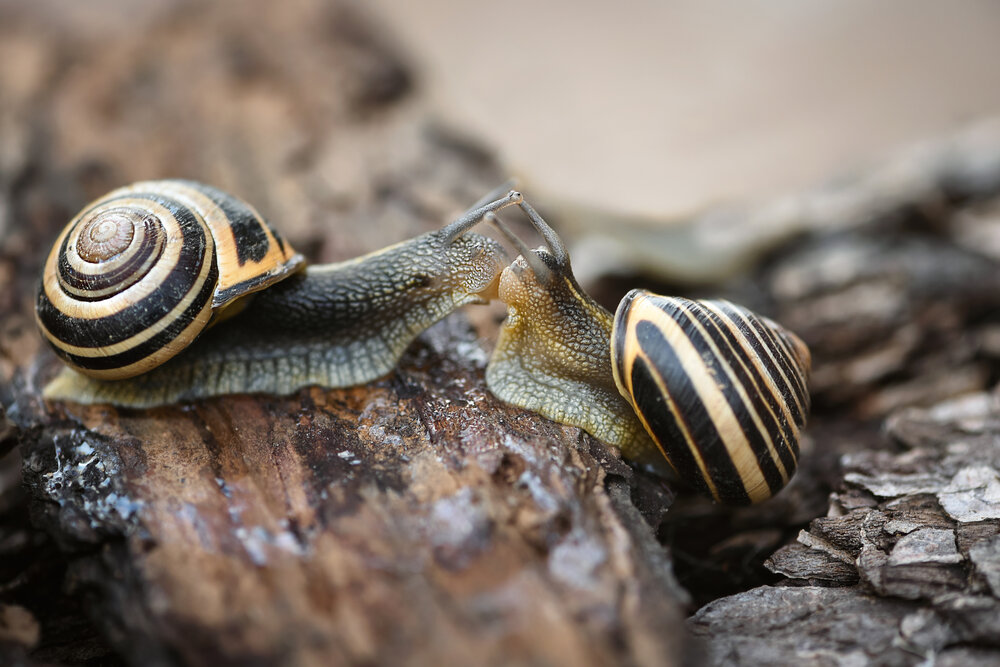 Photograph by Виктория Кос