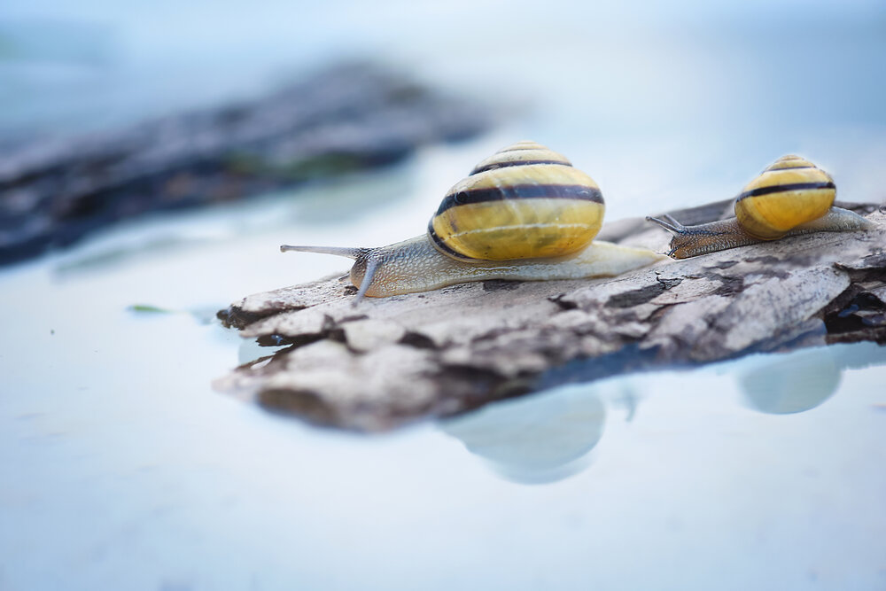 Photograph by Виктория Кос