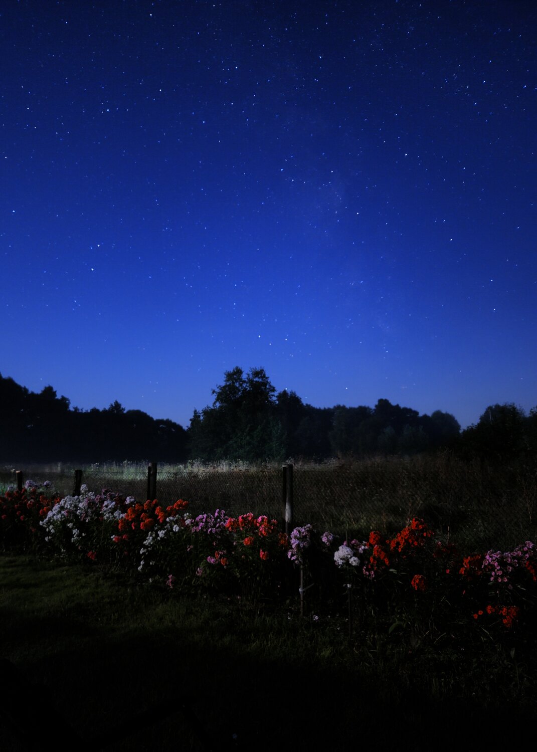 Photo #13894554