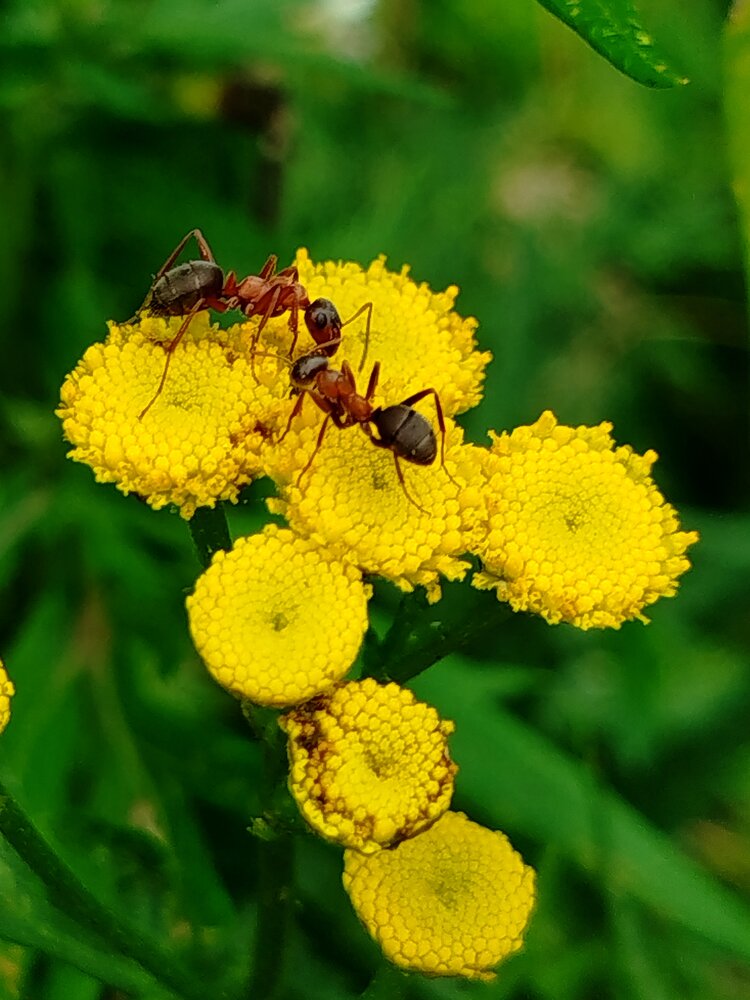 Photograph by Светлана Льдокова